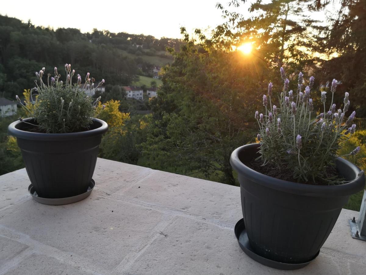Chambre meublée avec vue panoramique à Périgueux Sanilhac  Esterno foto